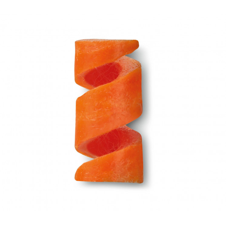 Allume-feu Mini Tool Fireant Set VICTORINOX